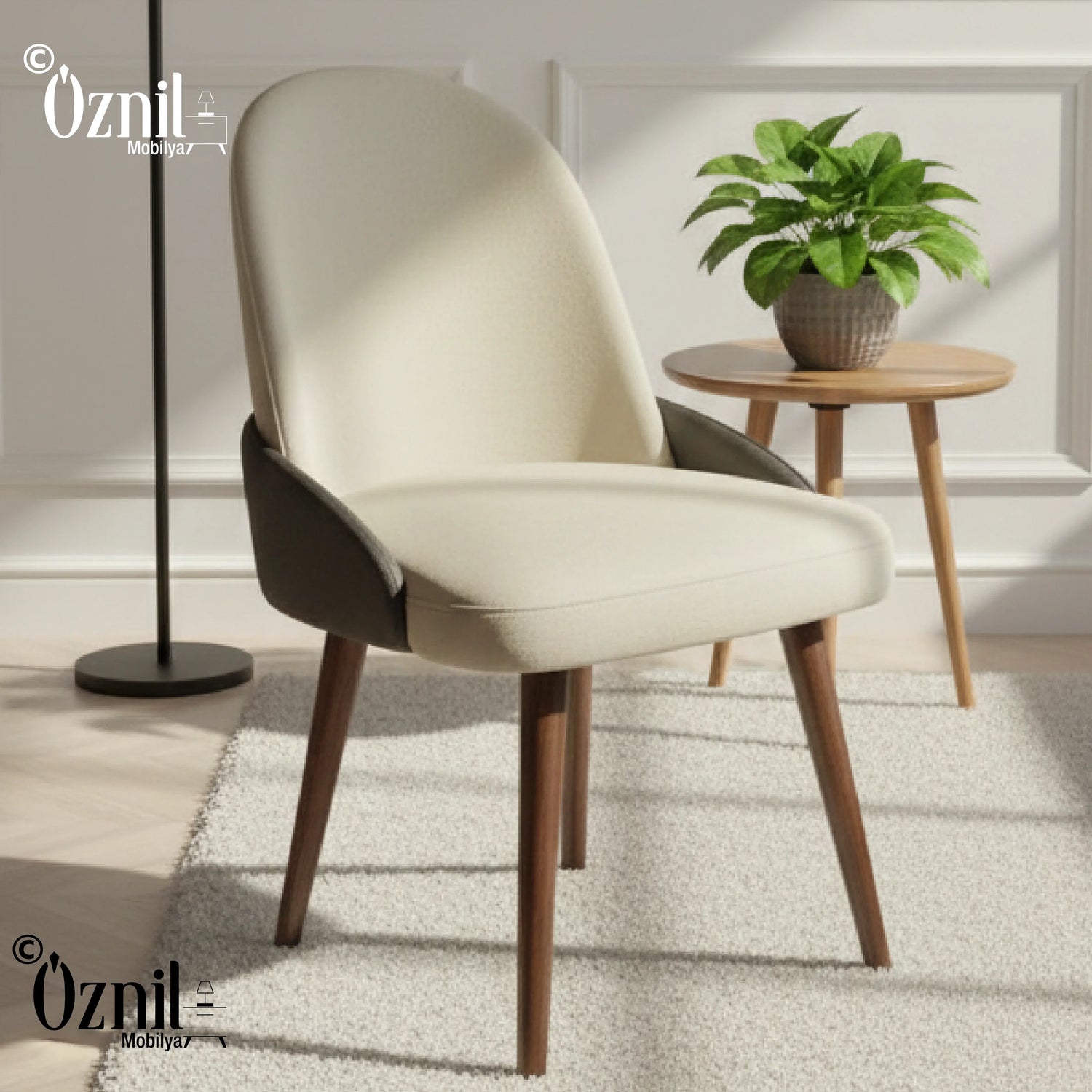 Dining Chairs